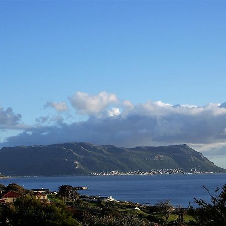 Restio Garden Studio Simon's Town Bagian luar foto