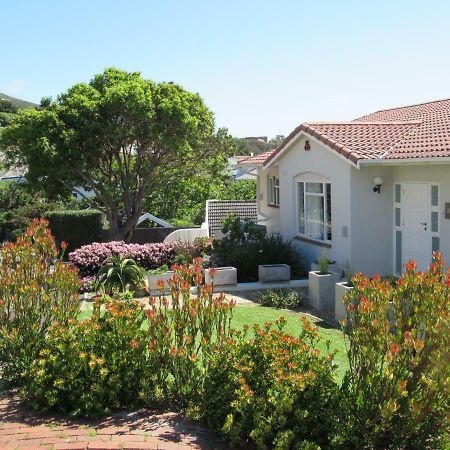Restio Garden Studio Simon's Town Bagian luar foto