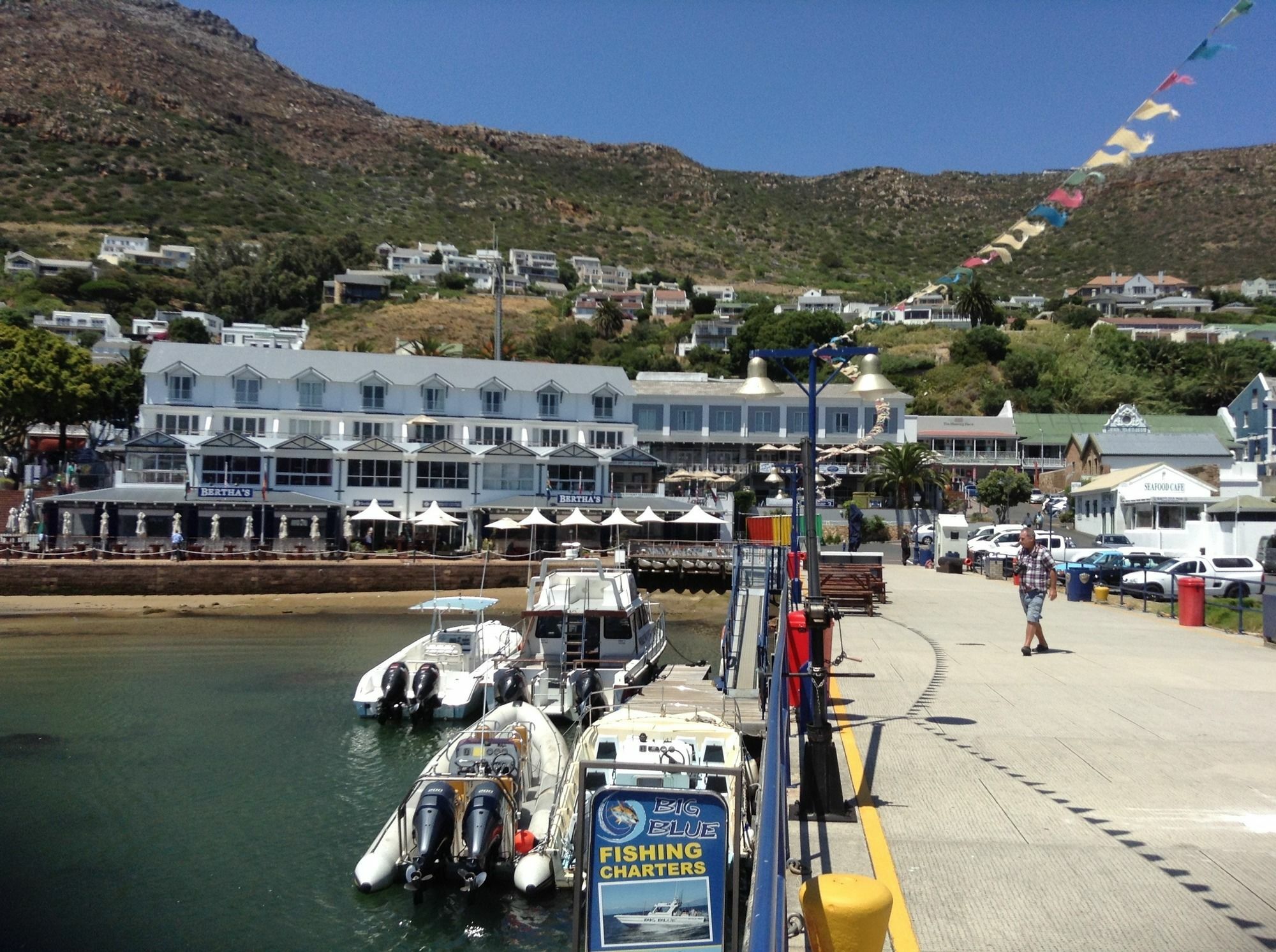 Restio Garden Studio Simon's Town Bagian luar foto