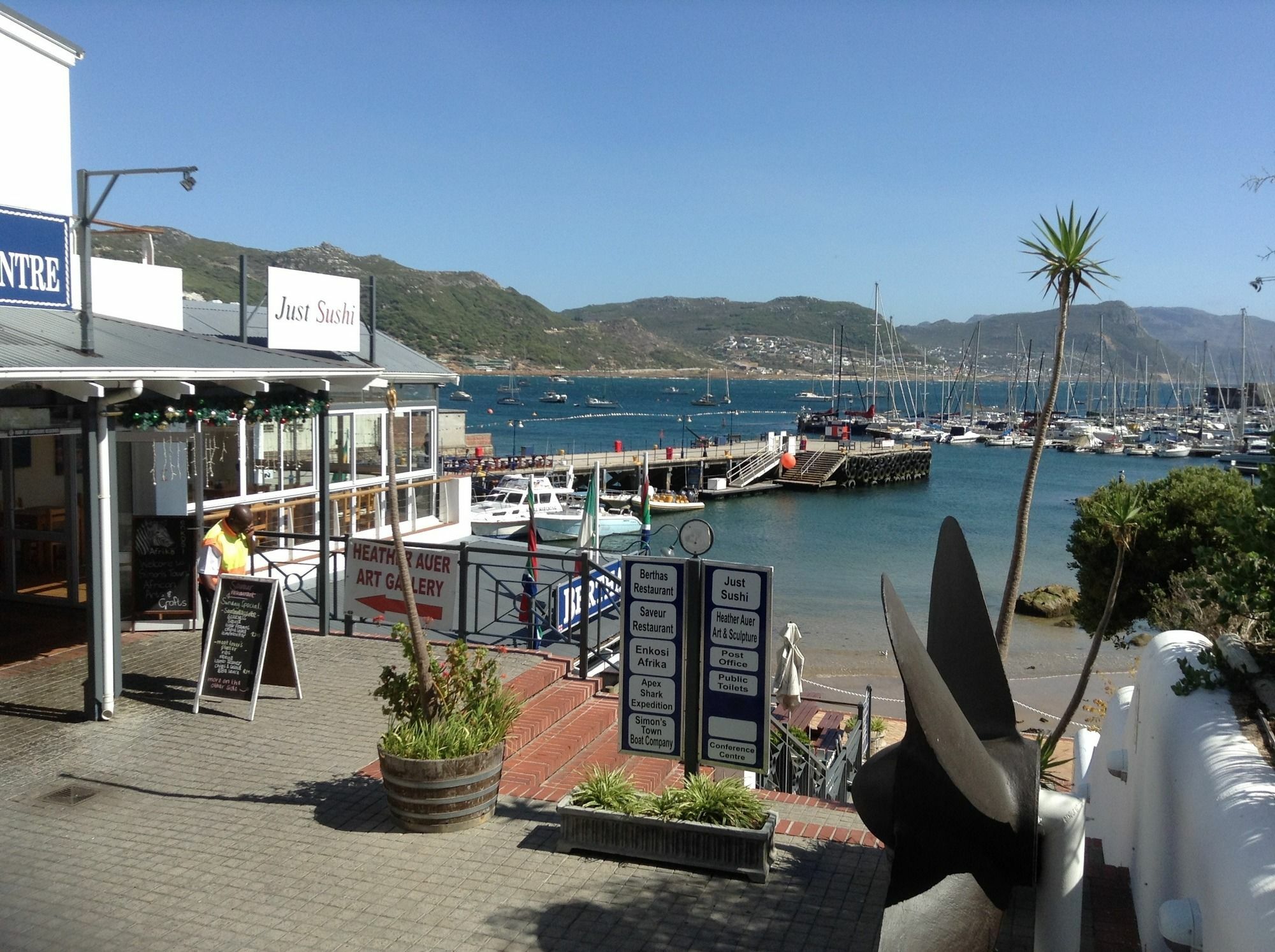 Restio Garden Studio Simon's Town Bagian luar foto