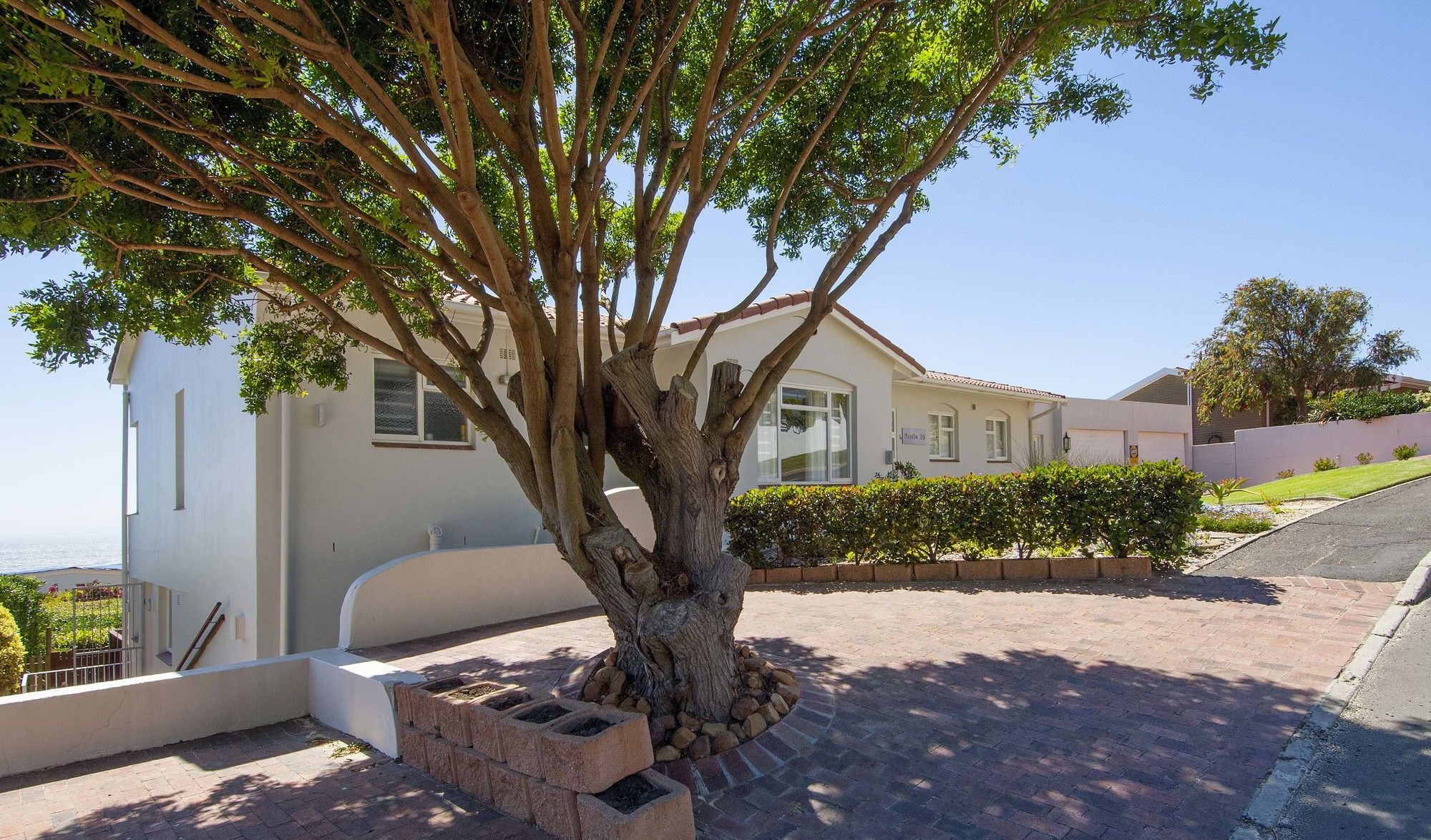 Restio Garden Studio Simon's Town Bagian luar foto